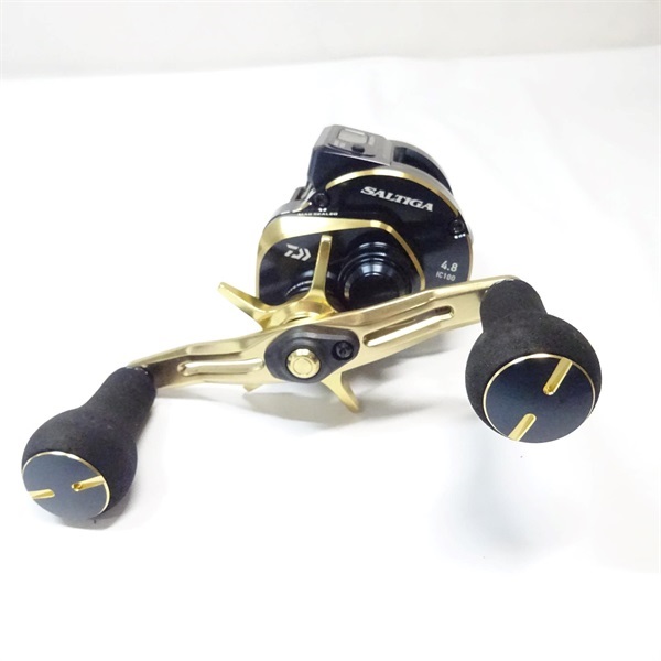 ２１ソルティガＩＣ１００ＰＬーＤＨ